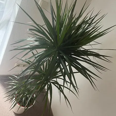 Kingsize Bett Boho Apartment Mit Tiefgarage Naehe Salzburg Freilassing Zewnętrze zdjęcie